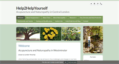 Desktop Screenshot of help2helpyourself.co.uk